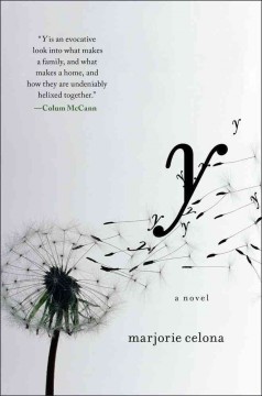 Y  Cover Image