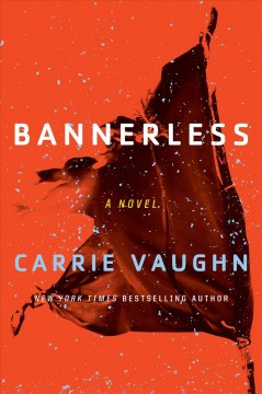 Bannerless  Cover Image