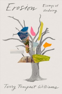 Erosion : essays of undoing  Cover Image