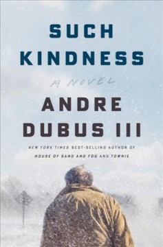 Such kindness : a novel Book cover