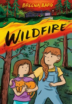 Wildfire Book cover