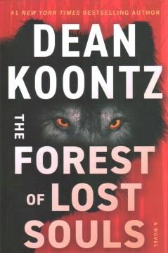 The forest of lost souls Book cover