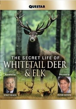 The secret life of whitetail deer & elk Book cover