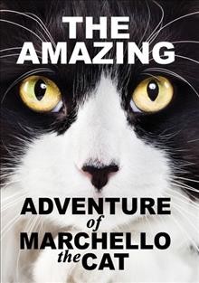 The amazing adventure of Marchello the cat  Cover Image