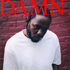 Damn Book cover