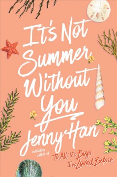 It's not summer without you : a summer novel Book cover