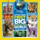 Go to record Little kids first big book of the world