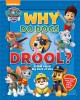 Go to record Why do dogs drool? : a Paw Patrol big book of why