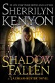 Go to record Shadow fallen