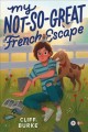 Go to record My not-so-great French escape