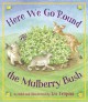 Go to record Here we go 'round the mulberry bush